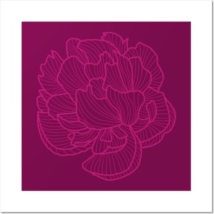 Peony line-art dark pink Posters and Art